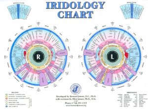 Iridology chart and diagram map
