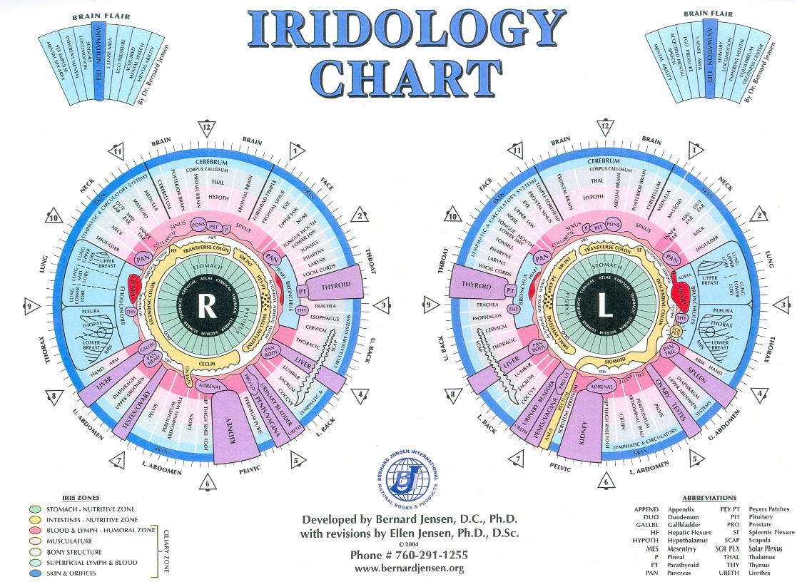 What Is An Iridology Chart